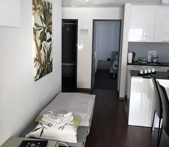 شقة Haus Fleckstein Karibu زيرمات