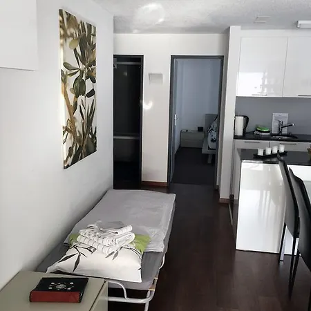 アパート Haus Fleckstein Karibu ツェルマット